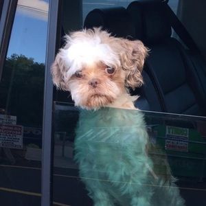 Meet your Posher, Jose